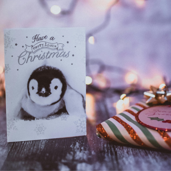 Christmas card with penguin illustration and decorative gift in the background