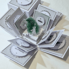 New York Christmas Special Occasion | Celebration Trip Reveal Explosion Box